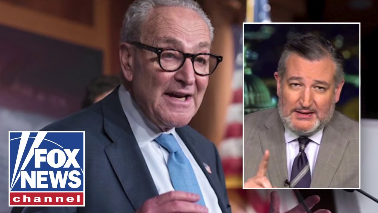 'POLITICAL CRISIS': Ted Cruz addresses TWO things driving the government shutdown