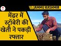 Jammu Kashmir: स्ट्रॉबेरी की खेती से मेंढर के किसान जमकर कमा रहे हैं मुनाफा