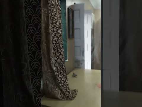Video realizado por la propiedad