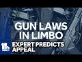 Gun violence expert: Gun law ruling will be appealed successfully