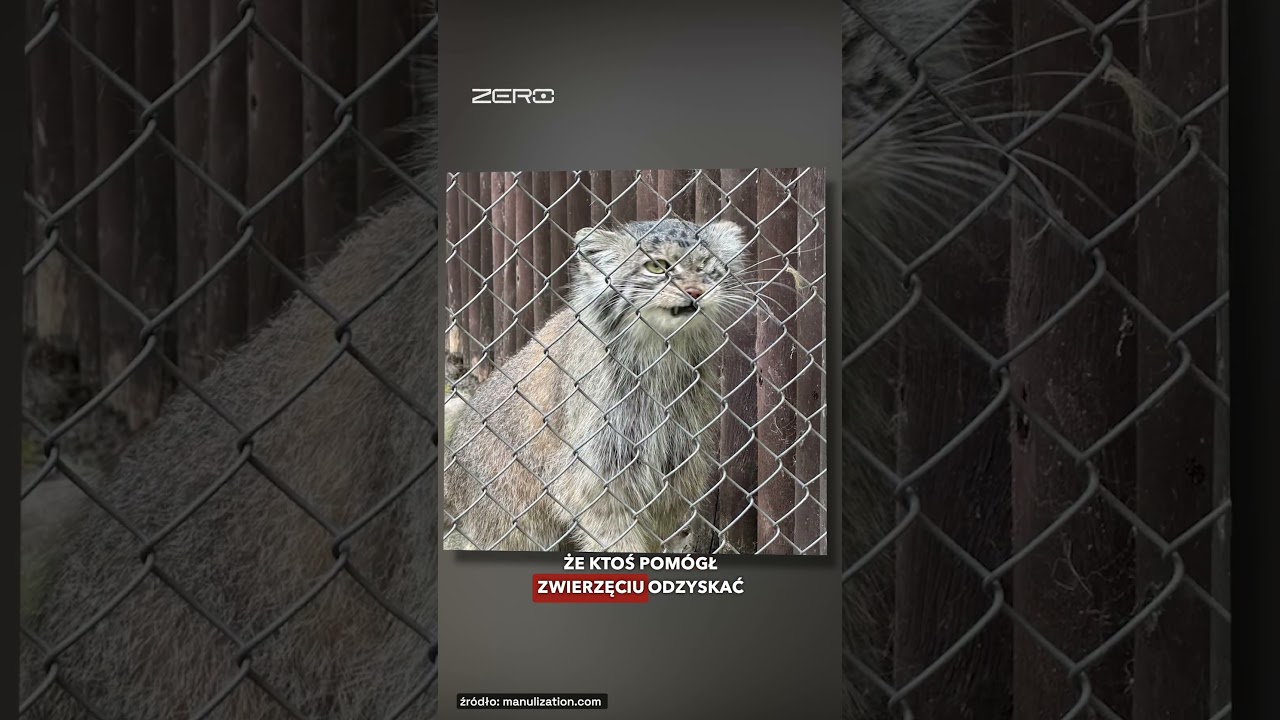 BOŻENKA ZAGINĘŁA. TRWAJĄ POSZUKIWANIA