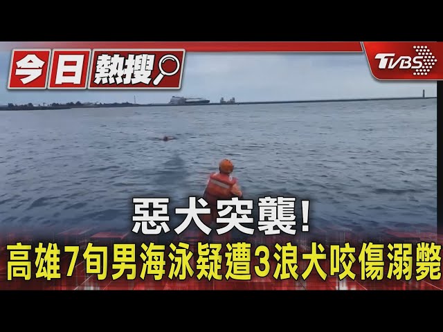 惡犬突襲! 高雄7旬男海泳疑遭3浪犬咬傷溺斃｜TVBS新聞 @TVBSNEWS01