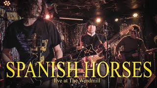 Spanish Horses Live at The Windmill