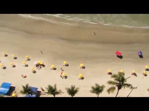 Video realizado por la propiedad