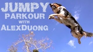 狗界忍者-跳躍的跑酷狗
