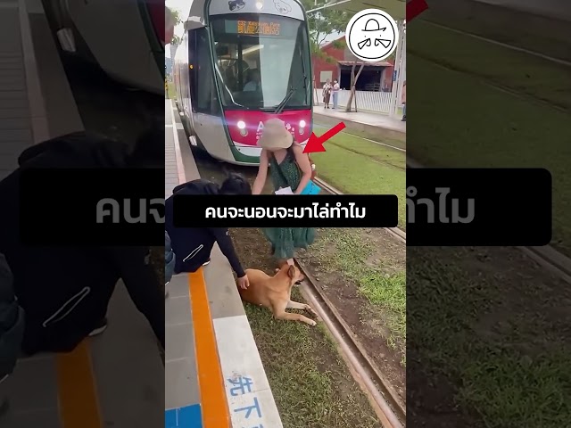 คนจะนอนจะมาไล่ทำไม