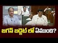 Prof K Nageshwar On YS Jagan's First Budget