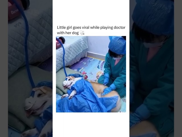 Little doctor playing with dog👩‍⚕️🤭💕✨