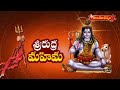 శ్రీరుద్ర మహిమ | Samavedam Shanmukha Sarma Pravachanam | Hindu Dharmam  - 23:05 min - News - Video
