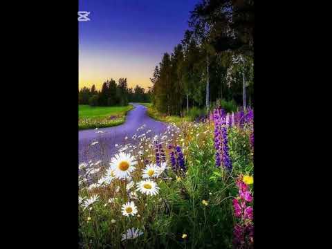 Music about love!Soaring into the skies!