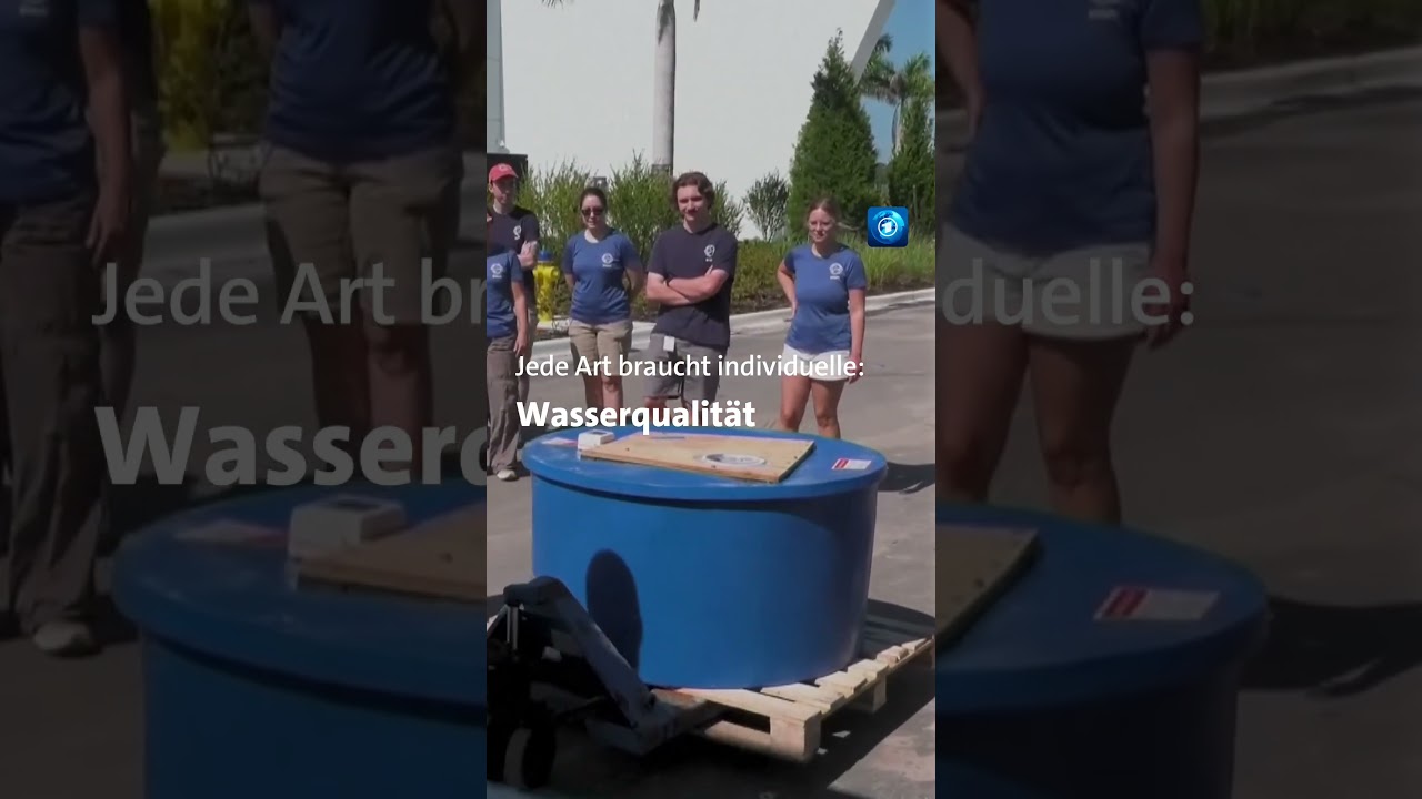 Das Mote Aquarium ist umgezogen und über 400 Tierarten mussten mit tagesschau nachrichten