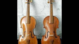 Concerto for 2 Violins in D minor, BWV 1043: Concerto for 2 Violins in D minor, BWV 1043: II. Largo ma non tanto