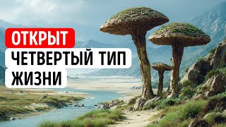 Древние формы жизни, которые не вписываются в древо жизни