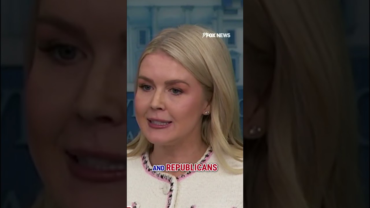 Karoline Leavitt calls out Democrats’ healthcare 'hypocrisy' #democrats #shorts #politics