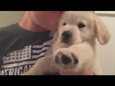 Super Cooper Sunday #1 - Coop Gets a New Bed!