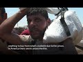 Each day, Palestinians in Gaza run a deadly gauntlet in hopes of getting food  - 01:36 min - News - Video