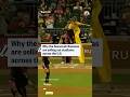 Savannah Bananas sell out stadiums across the U.S.
