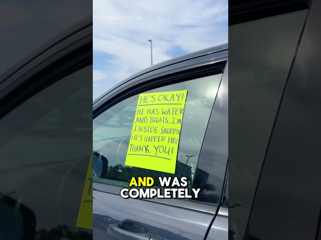 She did NOT expect to see this inside the car!!