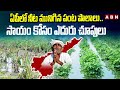 Cyclone Month: ఏపీలో నీట మునిగిన పంట పొలాలు.. సాయం కోసం ఎదురు చూపులు | ABN Telugu