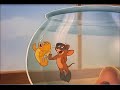Tom and Jerry   the Goldfish - YouTube