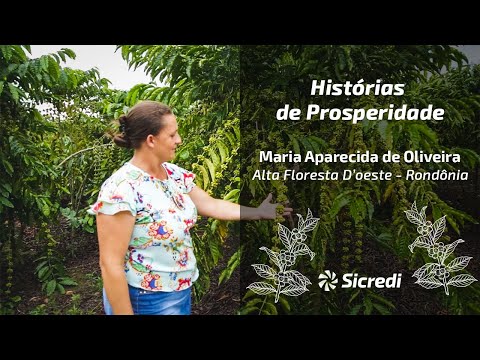 História de Prosperidade - Alta Floresta D'Oeste, Rondônia (