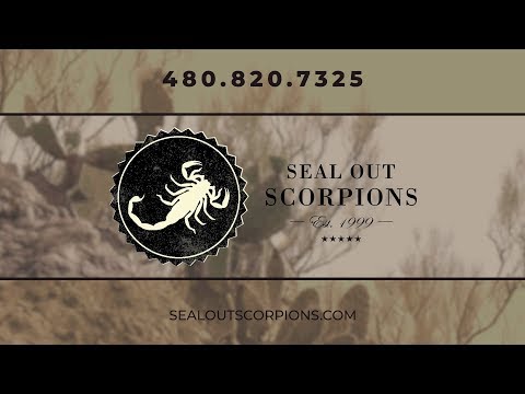 Sealing Process in Winter| Seal Out Scorpions