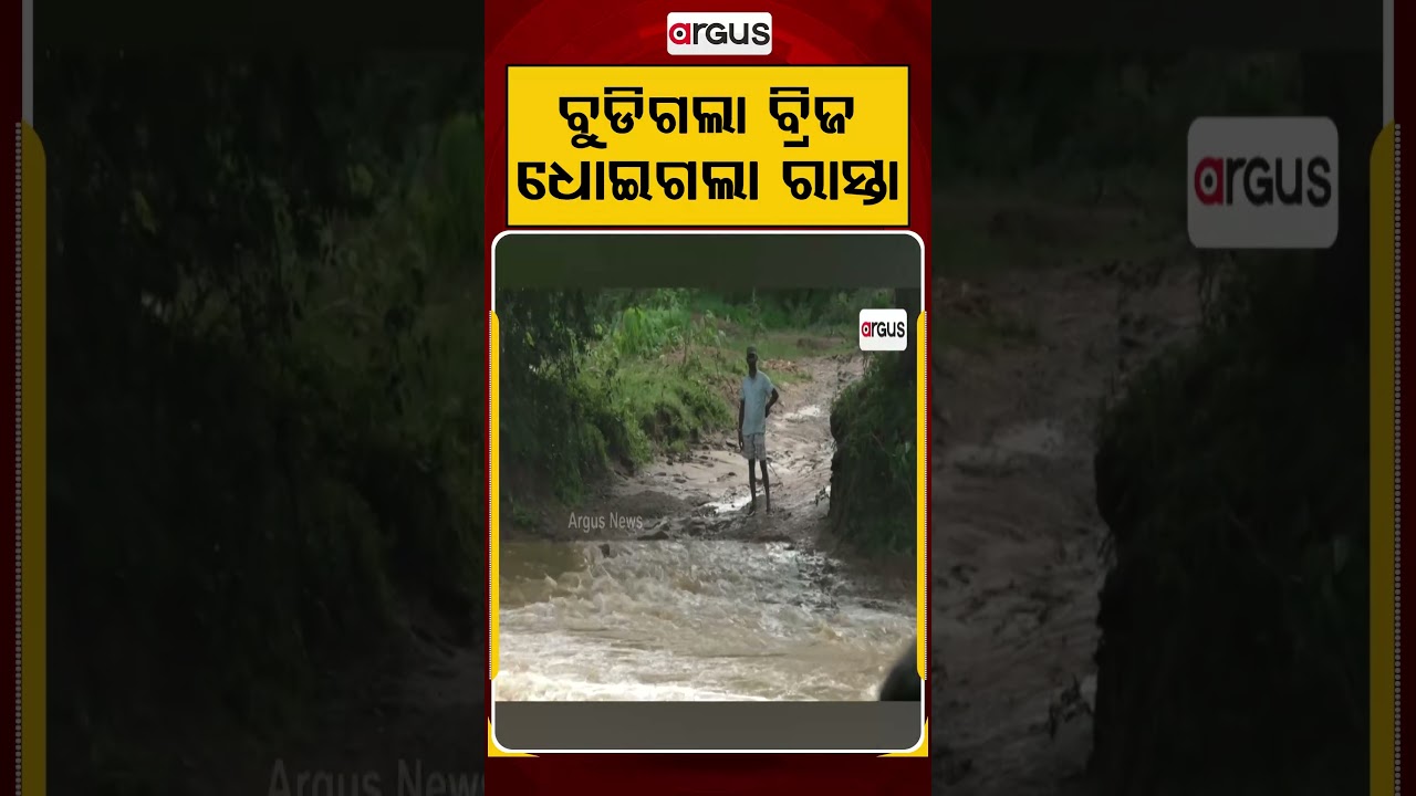 ଧୋଇଗଲା ରାସ୍ତା... | Odisha Flood | Odisha Rain | Flash Flood | Argus News