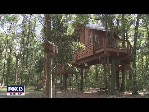 Property video
