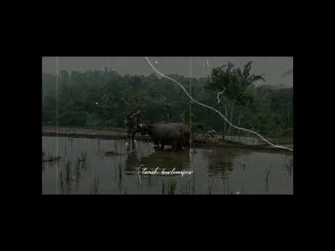 Nyanyian Seorang Petani ( karya Abdul Hadi W.M )