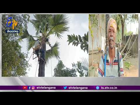 Warangal: Geeta Karmika created a tool to make climbing palm trees simple