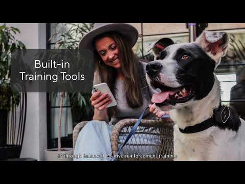 Link, the Smart Pet Wearable, announces exclusive animal health partnership  with MWI/Amerisource Bergen