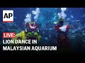 LIVE: Lion dance under water in Malaysian aquarium ahead of Lunar New Year