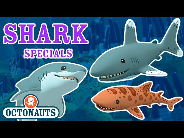 Octonauts - Undersea Missions to Discover Sharks | Shark Week Special