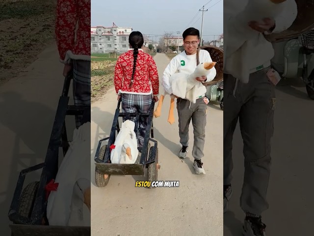 Uma INCRÍVEL Troca de Patos! 🦢😂
