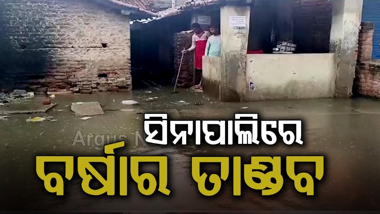 Nuapada Rain Fury: Severe Waterlogging In Sinapali Town; Shops & Houses Submerged | Argus News