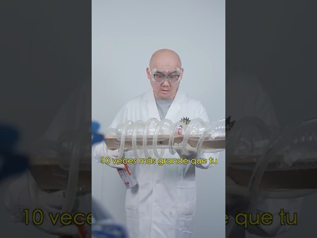 ¿Podrá MIWU crear un CAÑON de PLASMA? #miwuscienceespañol #miwuscience #ciencia #shorts