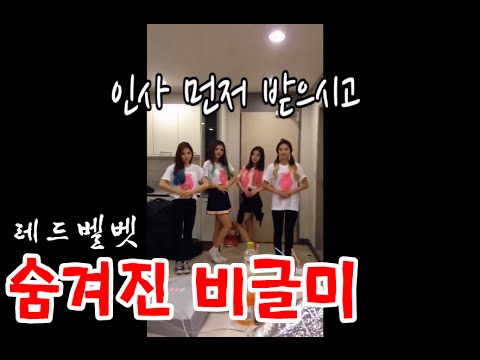 레드벨벳 (Red Velvet) - 숨겨진 비글미
