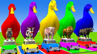 Long Slide Game With Cow Elephant Gorilla Hippopotamus Tiger 3d Animal Game Funny 3d Animals