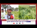 Madhya Pradesh Hailstorm: बेमौसम बारिश ने किसानों को किया निराश | NDTV India  - 05:41 min - News - Video