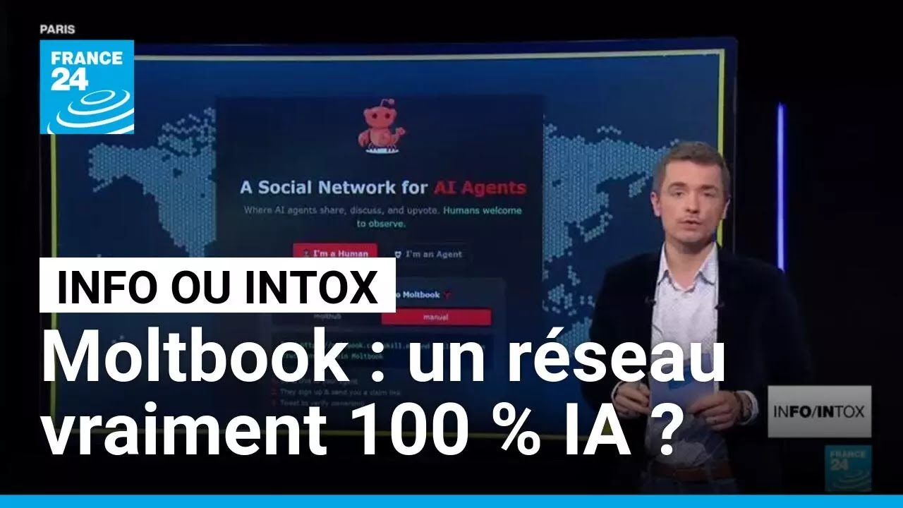 Moltbook : le seul réseau social 100% IA, vraiment ? • FRANCE 24