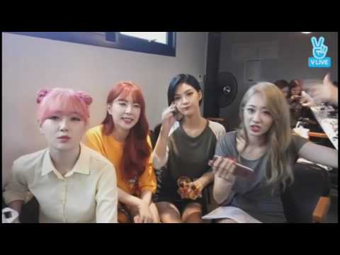 나인뮤지스) 나는 보아덕후를 덕질한다...랄까? (feat. 머글은 소중해)
