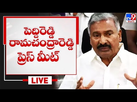 Minister Peddi Reddy lashes out at Chandrababu over accusations