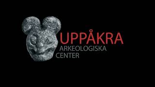 Professor Dick Harrison describes the fantastic Uppåkra!