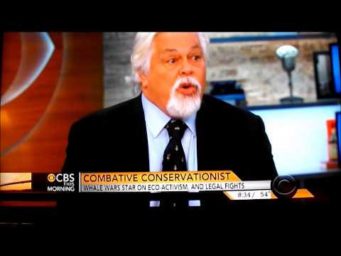 Sea Shepherd's Paul Watson - Interview with CBS News - 12/13 ...