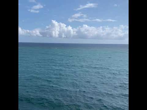 Video realizado por la propiedad