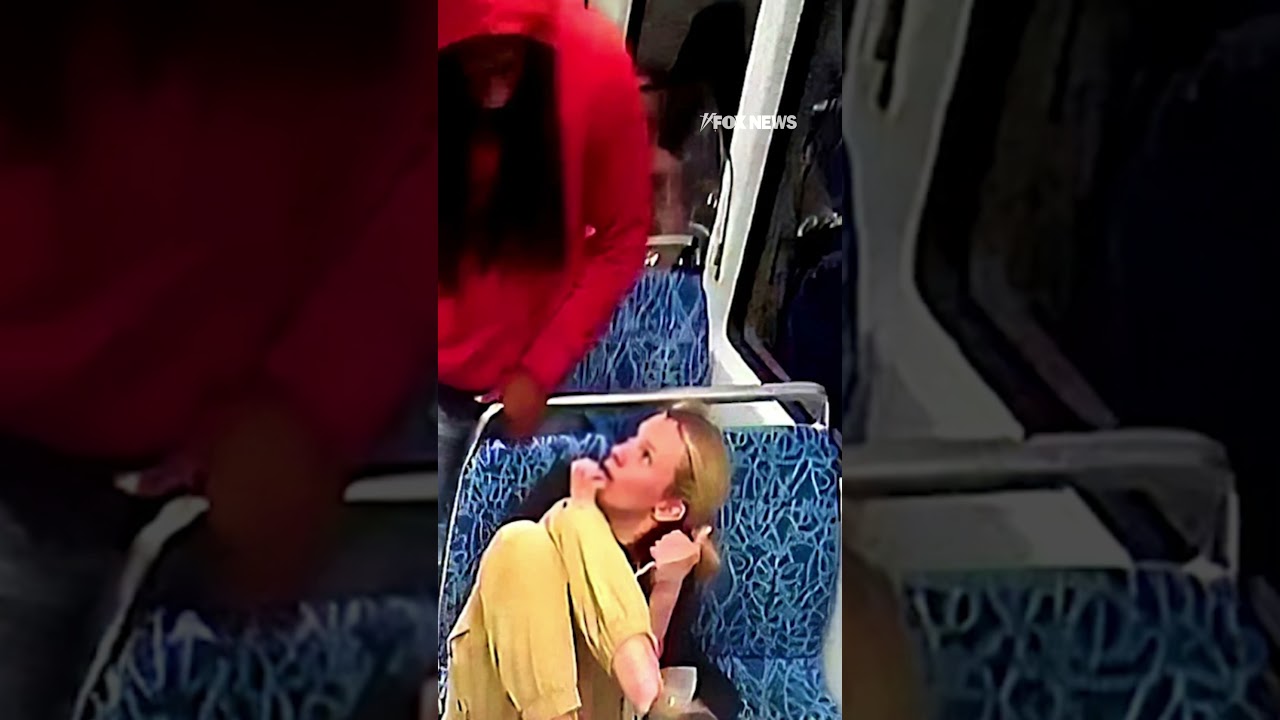 GRAPHIC CONTENT WARNING: 911 calls released from Charlotte train stabbing #shorts #usa #us #crime