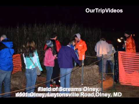 Pictures of Field of Screams - Scream City - Maryland Halloween Event, Olney, MD, US