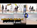 Jr NTR plays volleyball with SS Rajamouli and RRR team, viral video