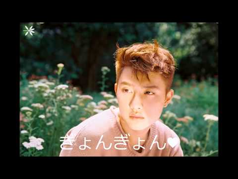 EXO KOKOBOP 日本語空耳