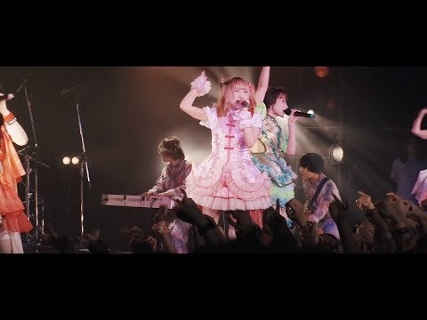 ぜんぶ君のせいだ。